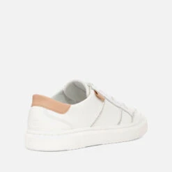 UGG Women's Alameda Leather Trainers -Vans || Clarks || Ugg Sales 14203749 1265025817407792